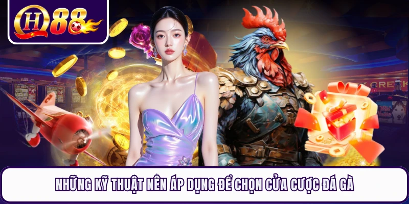 Những kỹ thuật nên áp dụng để chọn cửa cược đá gà