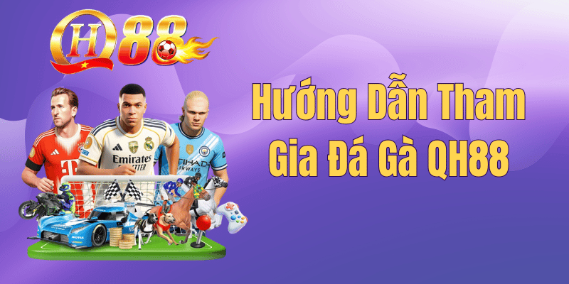 Hướng Dẫn Tham Gia Đá Gà QH88 – Bí Quyết Cá Cược Kê Chiến 2026